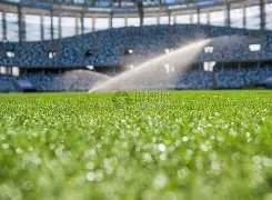 山東魯能足,協杯八強力,克浙江綠城,北京单场官网,彩票平台,在线投注,单场赛事,彩票分析